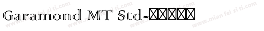 Garamond MT Std字体转换